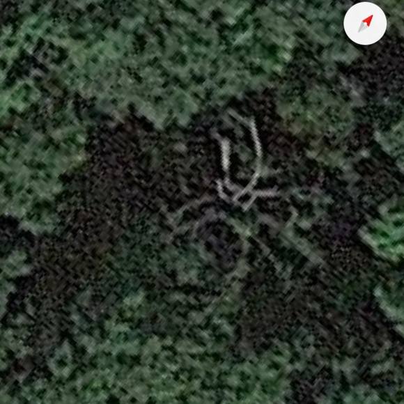 Meet your Posher, Fernando - Picture 1 of 1